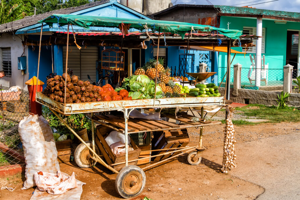 lokal entrepenör med licens att sälja frukt och grönsaker